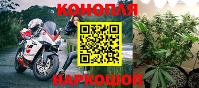 альфа пвп Севастополь