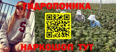 альфа пвп Севастополь