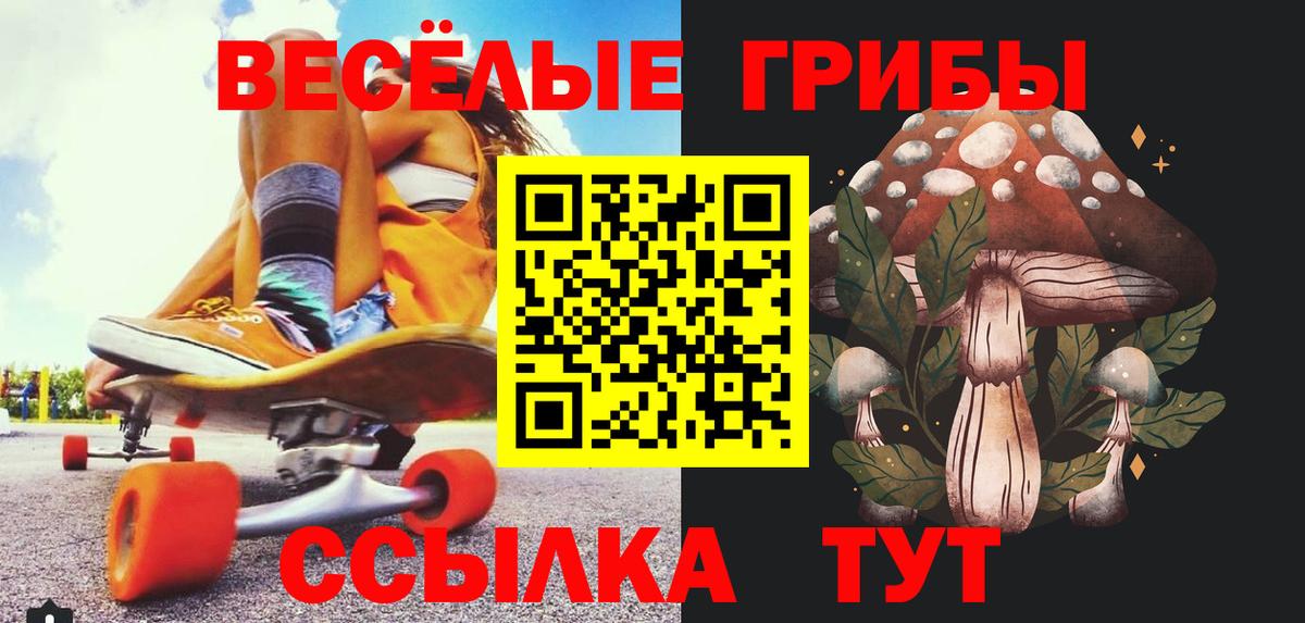 Галлюциногенные грибы Psilocybine cubensis Норильск